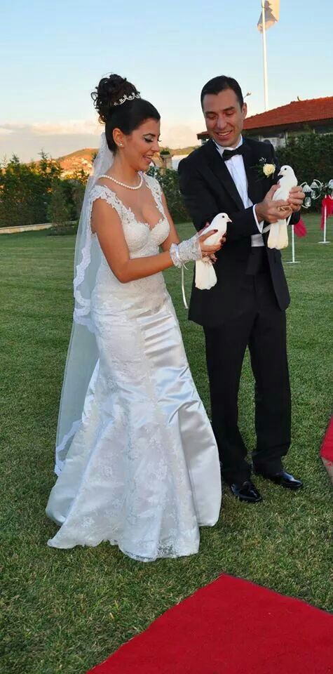 Beyaz Güvercin Fiyatı